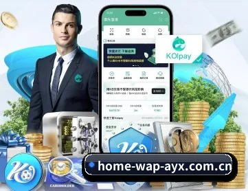 爱游戏体育比分 APP 深度功能