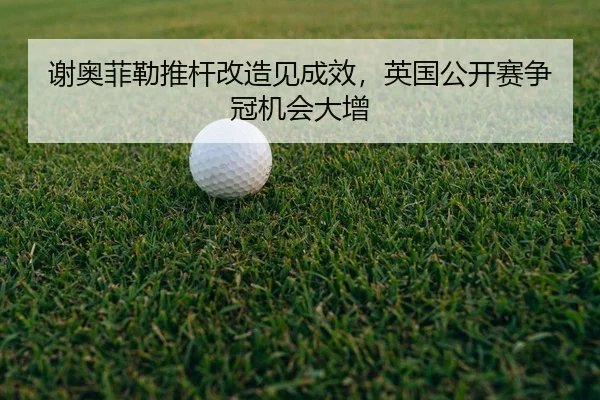 xie-ao-fei-lei-tui-gan-gai-zao-jian-cheng-xiao-ying-guo-gong-kai-sai-zheng-guan-ji-hui-da-zeng-2-538.jpg