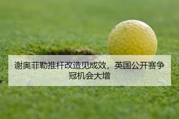 xie-ao-fei-lei-tui-gan-gai-zao-jian-cheng-xiao-ying-guo-gong-kai-sai-zheng-guan-ji-hui-da-zeng-3-372.jpg